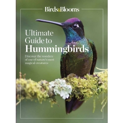 Birds & Blooms Ultimate Guide to Hummingbirds