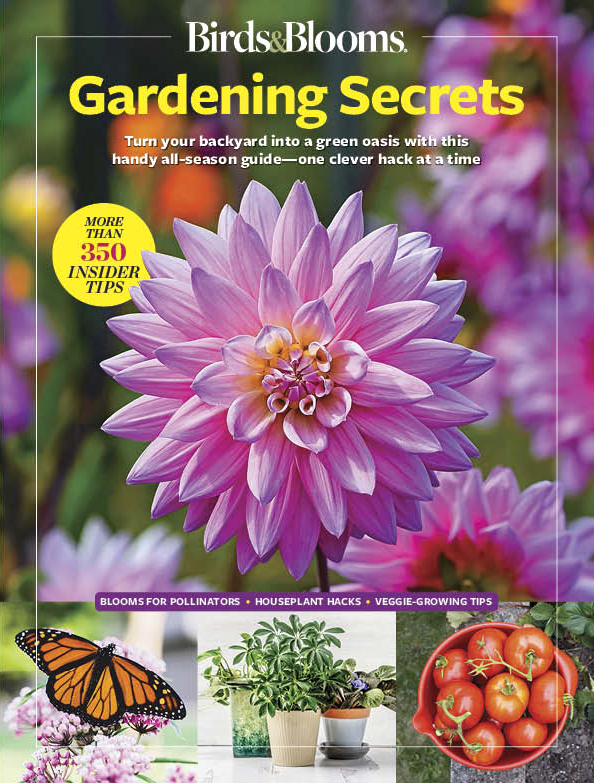 Birds & Blooms Gardening Secrets